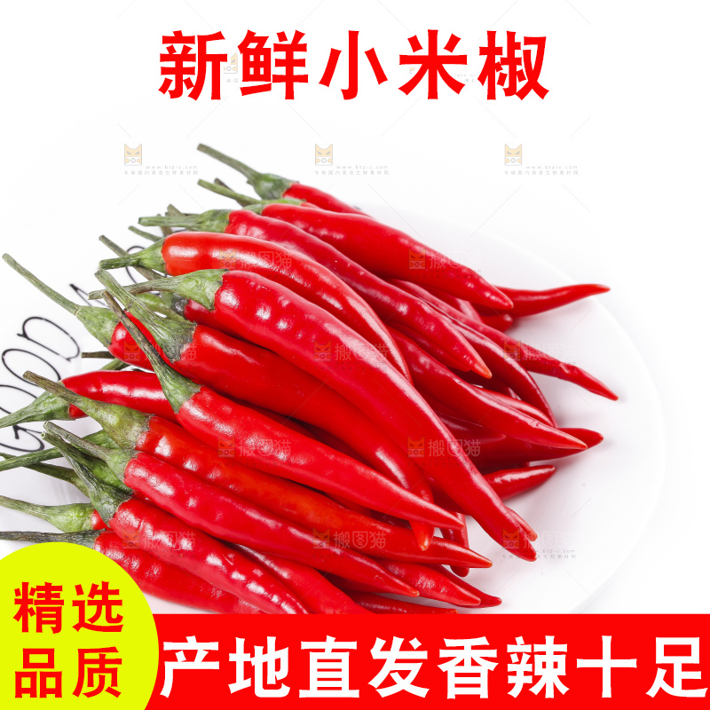 小米椒