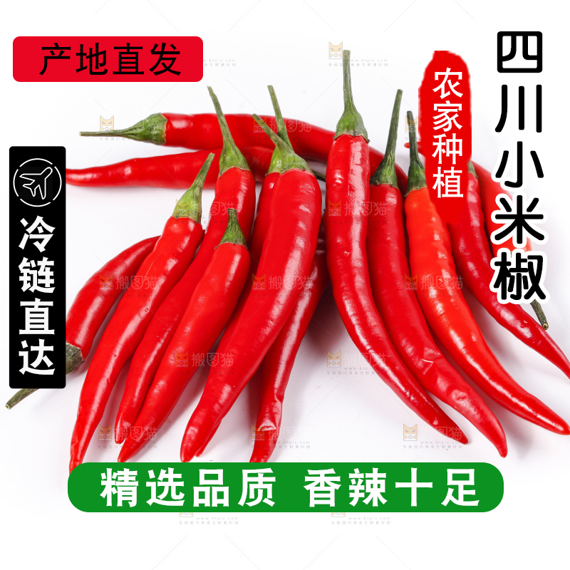 小米椒