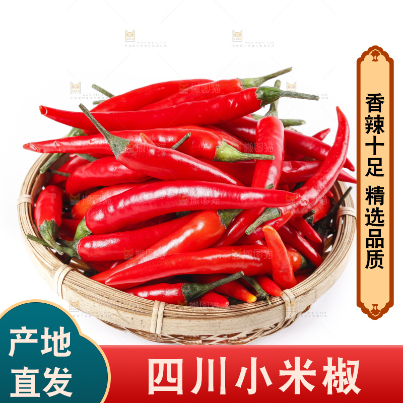 小米椒