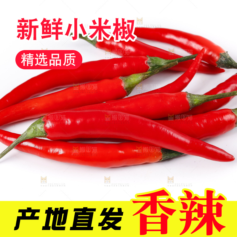 小米椒