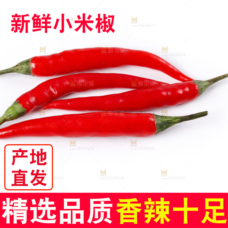 小米椒