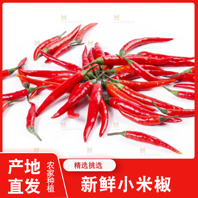 小米椒