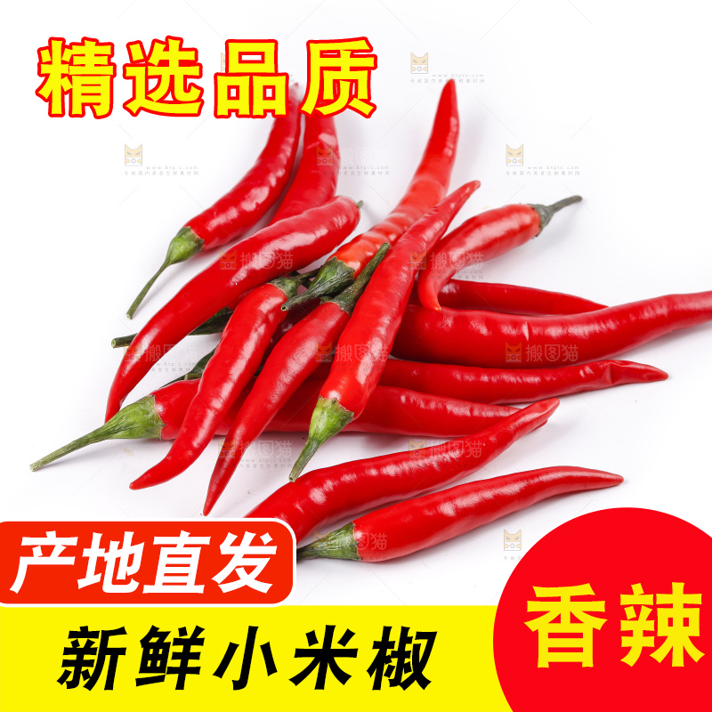 小米椒
