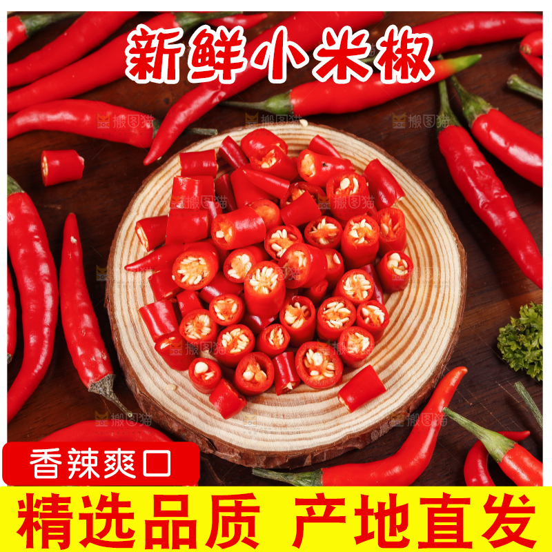 小米椒