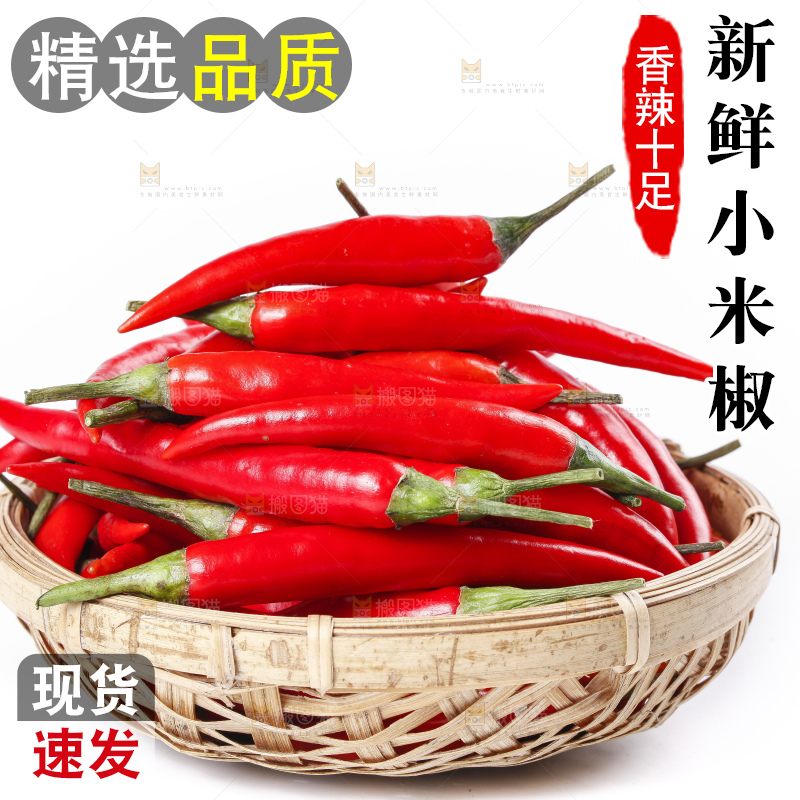 小米椒