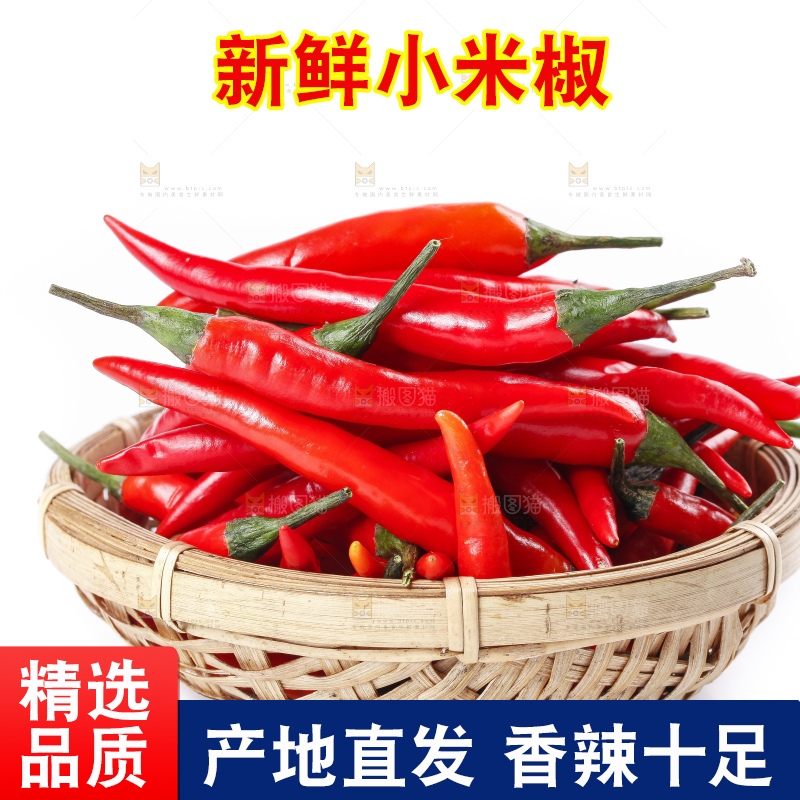 小米椒