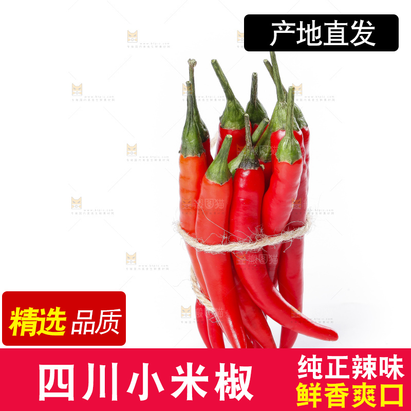 小米椒
