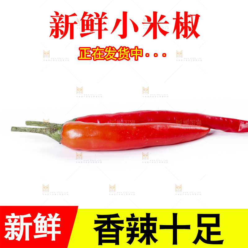 小米椒