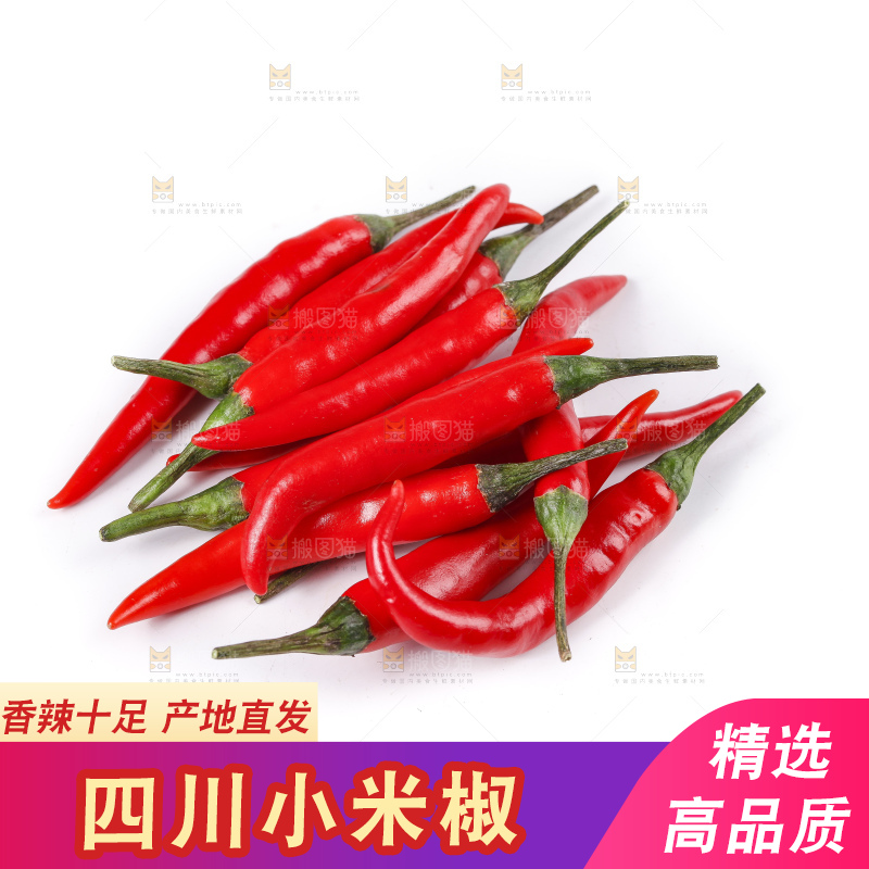 小米椒