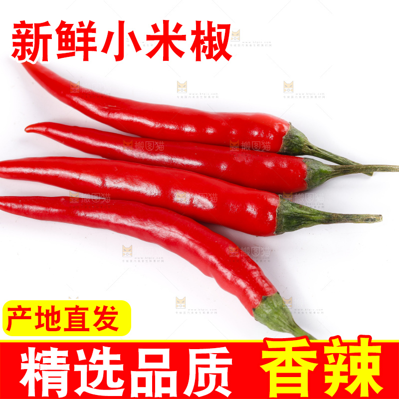 小米椒