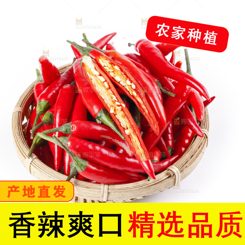小米椒