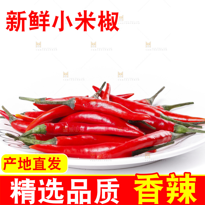小米椒
