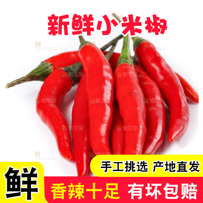 小米椒