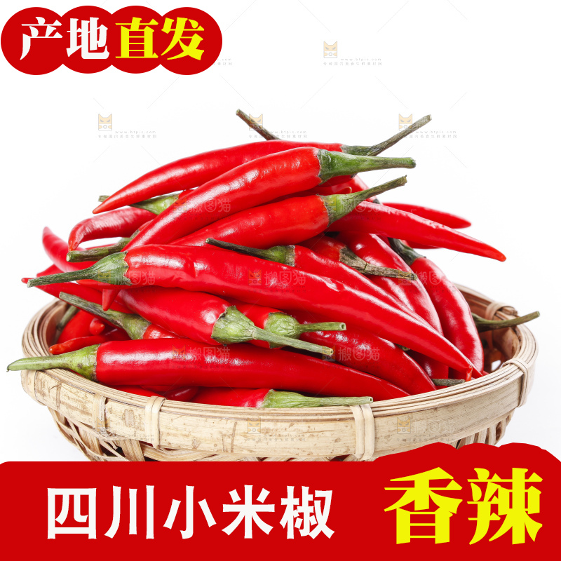 小米椒