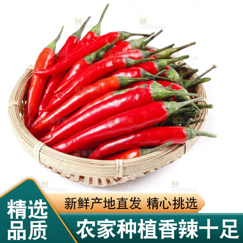 小米椒