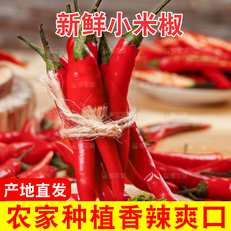 小米椒