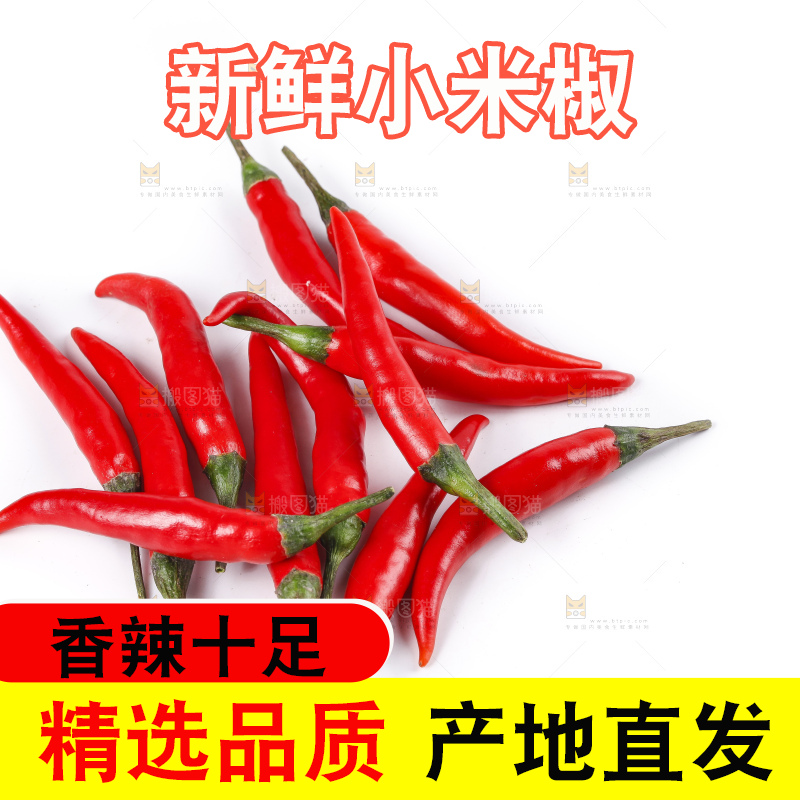 小米椒