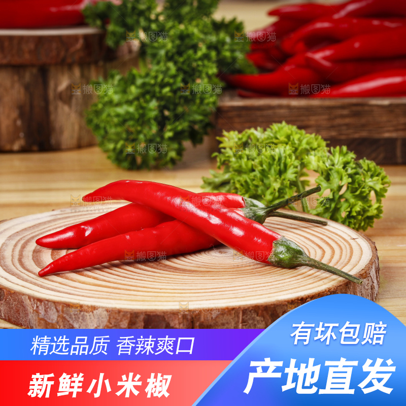 小米椒