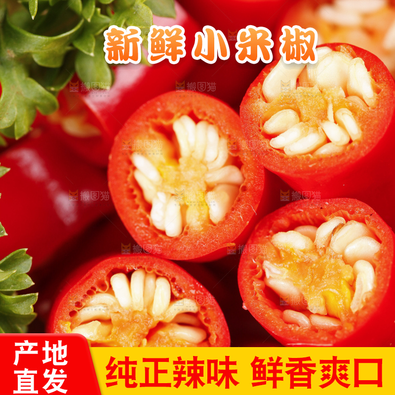 小米椒