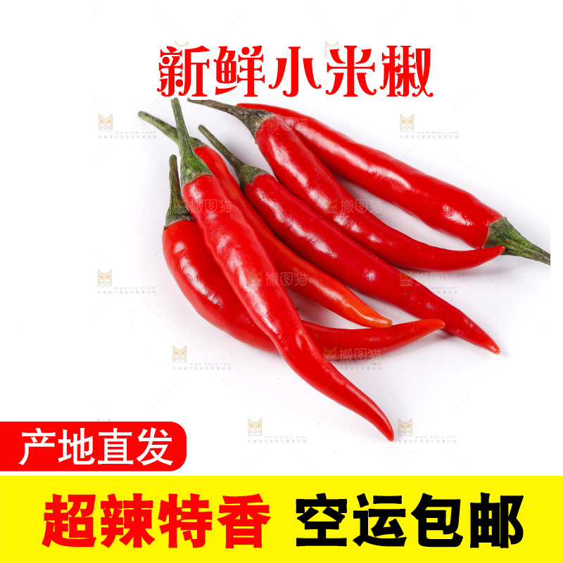 小米椒