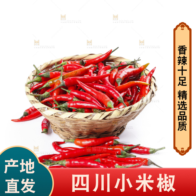 小米椒
