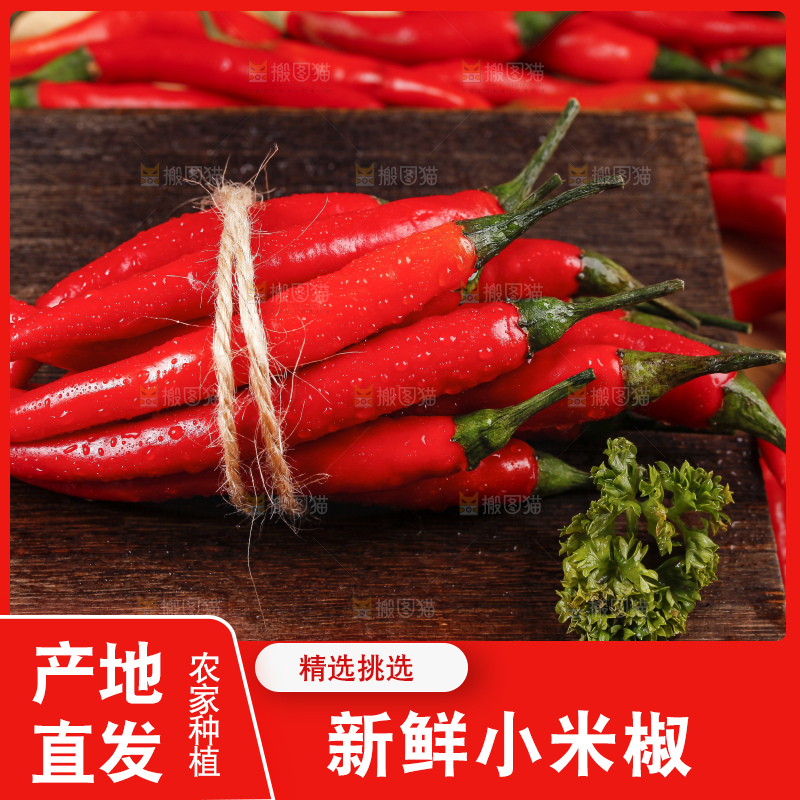 小米椒