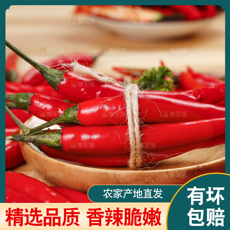 小米椒