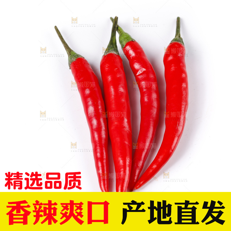 小米椒