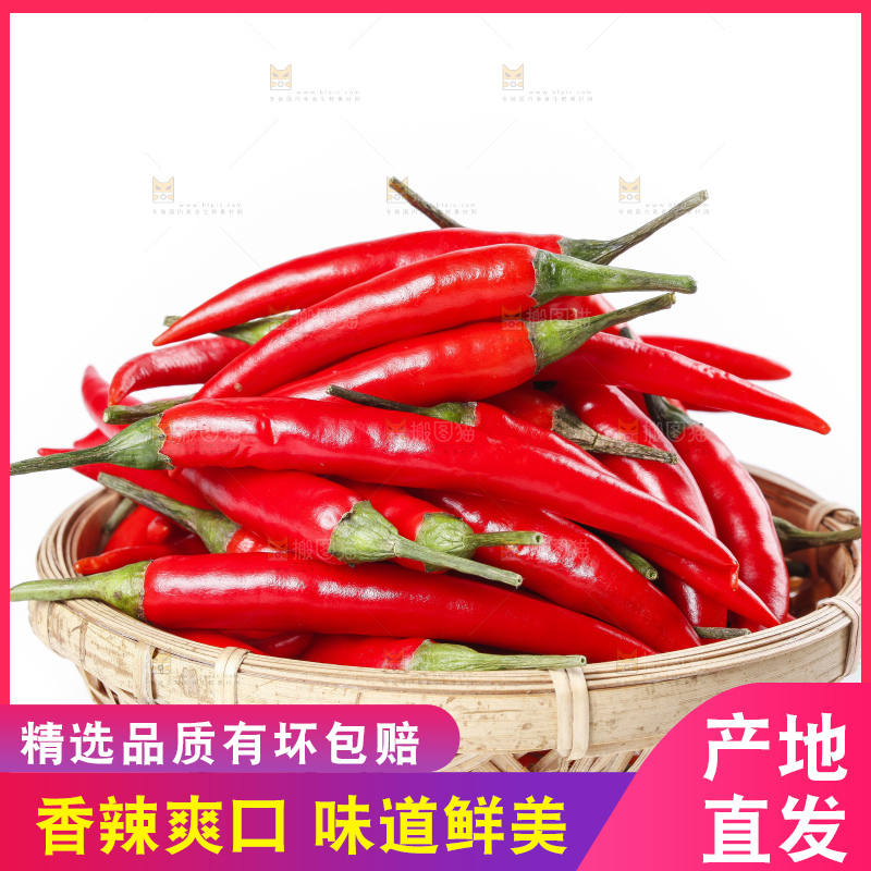 小米椒