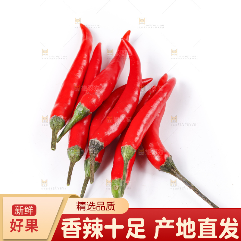 小米椒