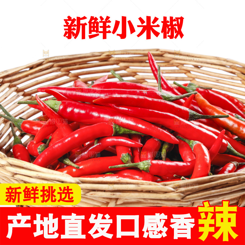 小米椒