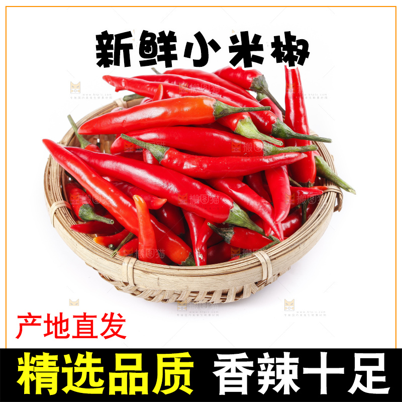 小米椒