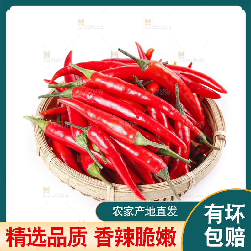 小米椒