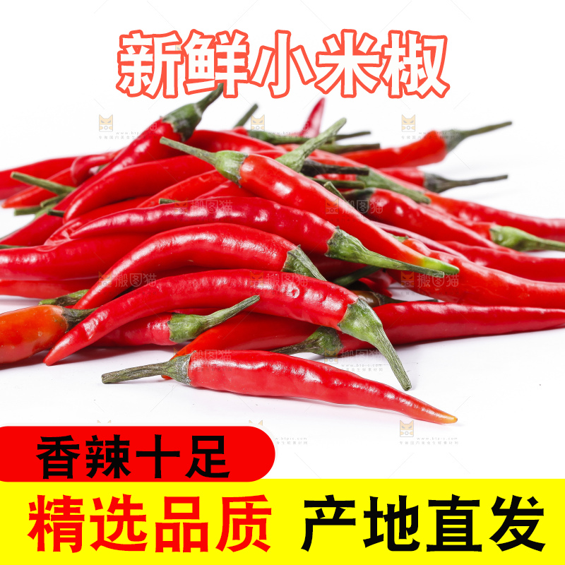 小米椒