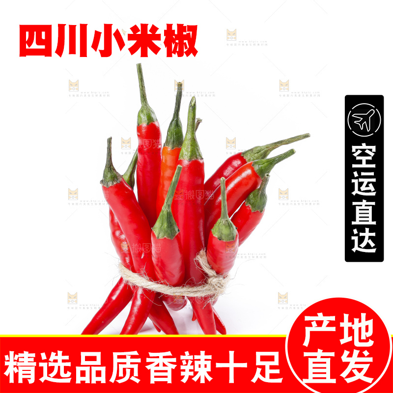 小米椒