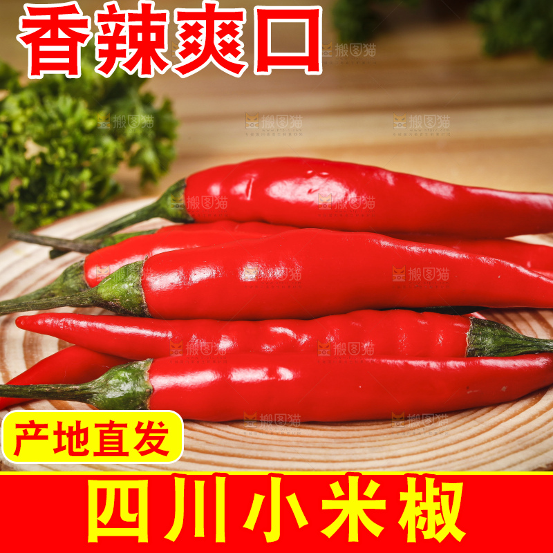 小米椒