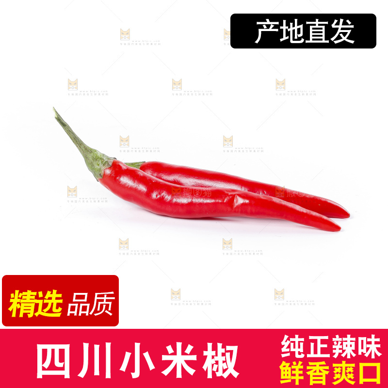 小米椒
