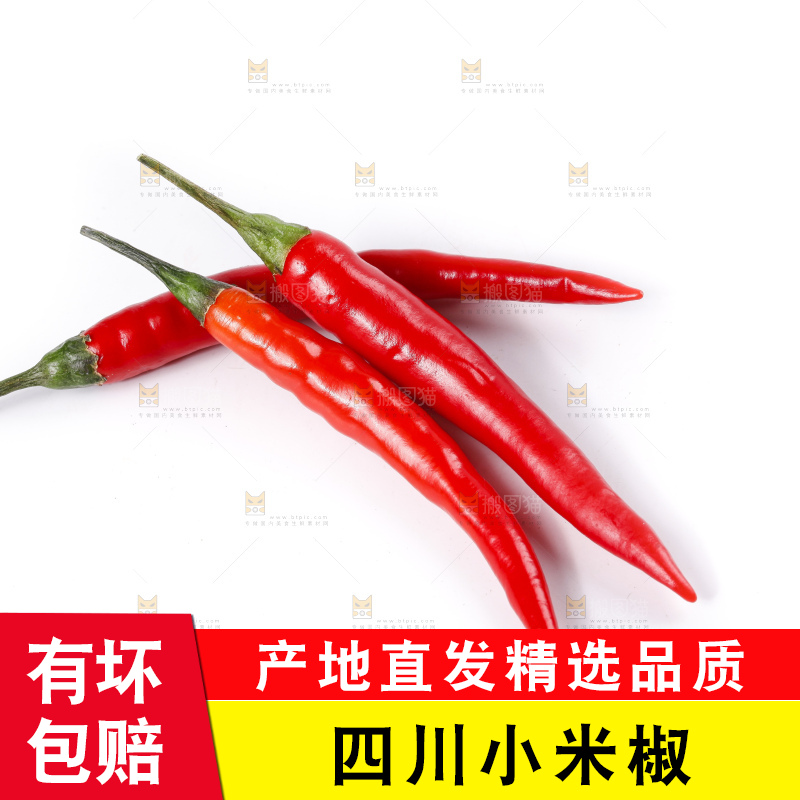 小米椒