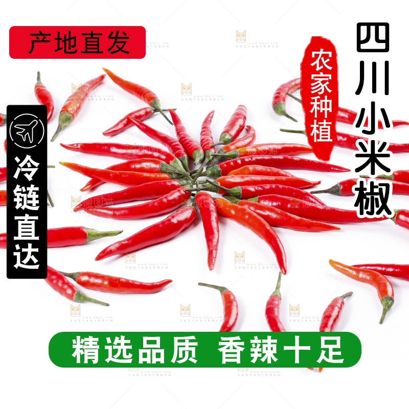 小米椒
