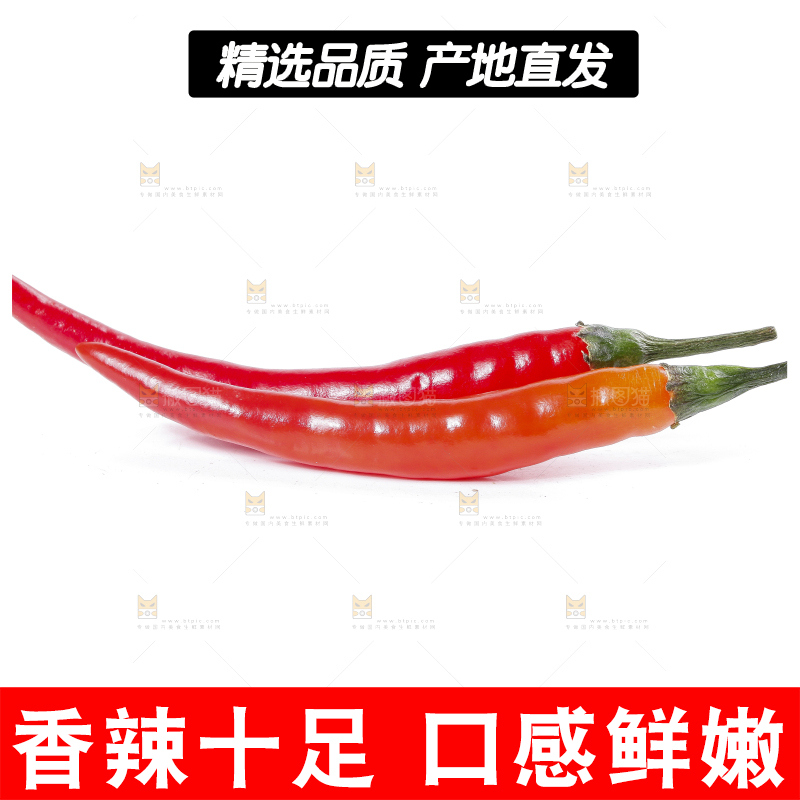 小米椒