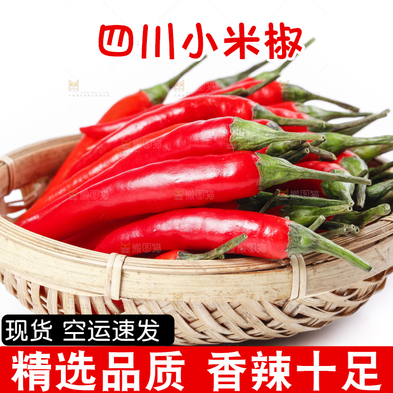 小米椒