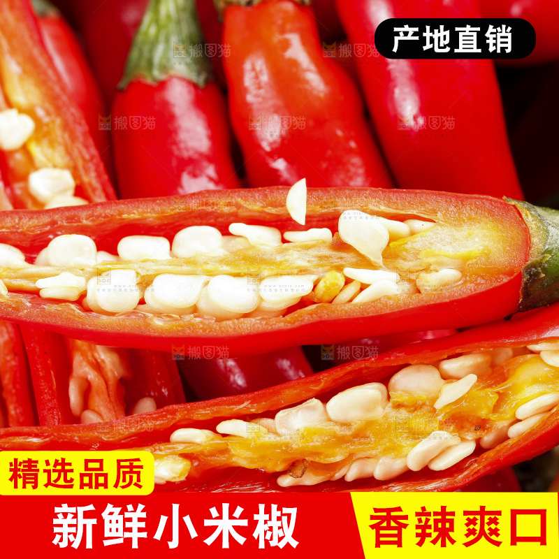 小米椒