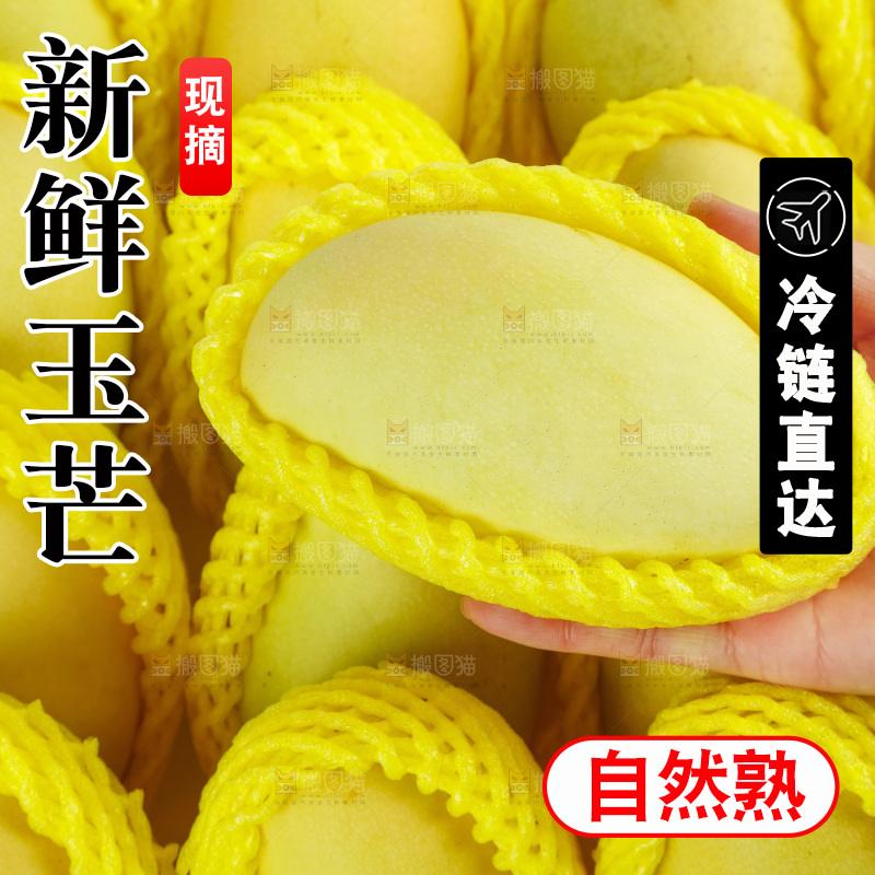 玉芒
