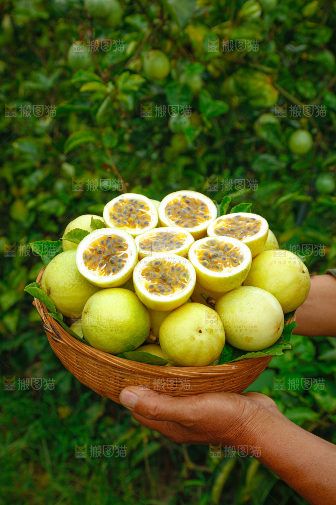 黄金百香果