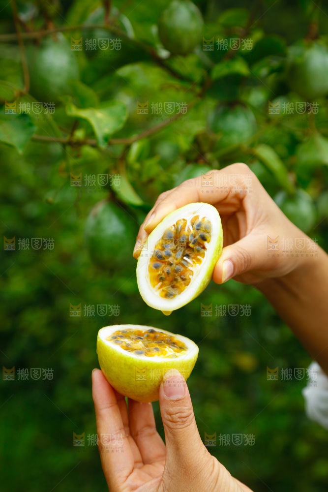 黄金百香果