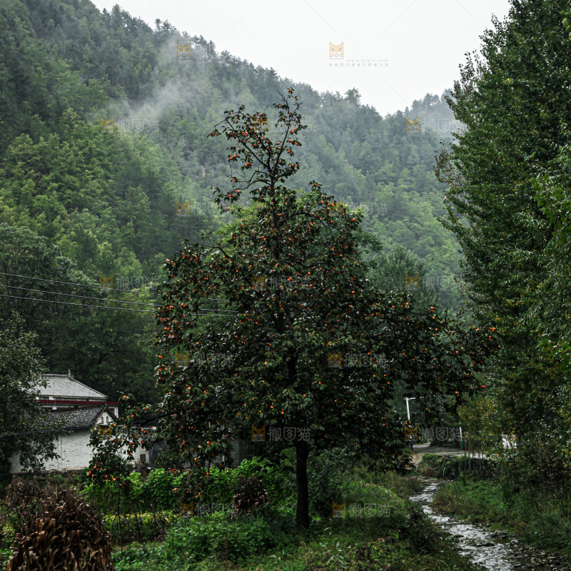 深山风景