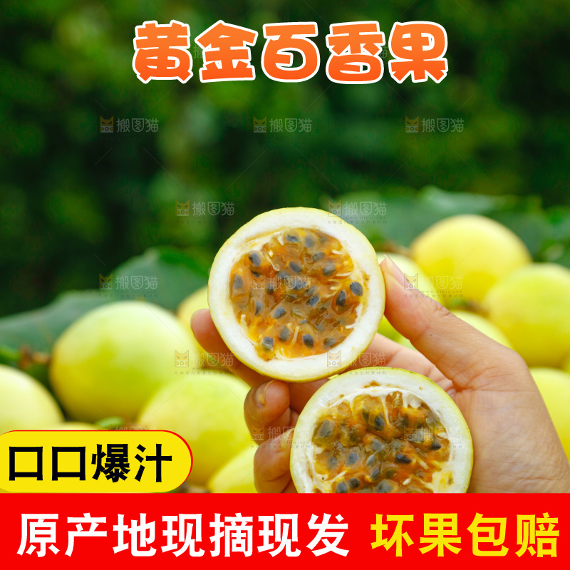黄金百香果