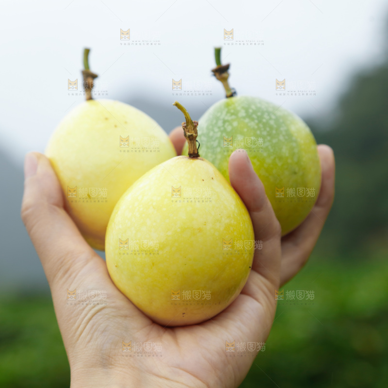 百香果打包