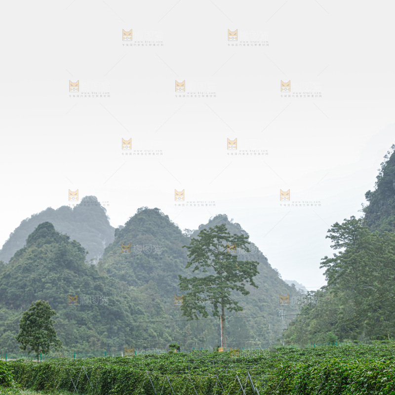 百香果产地