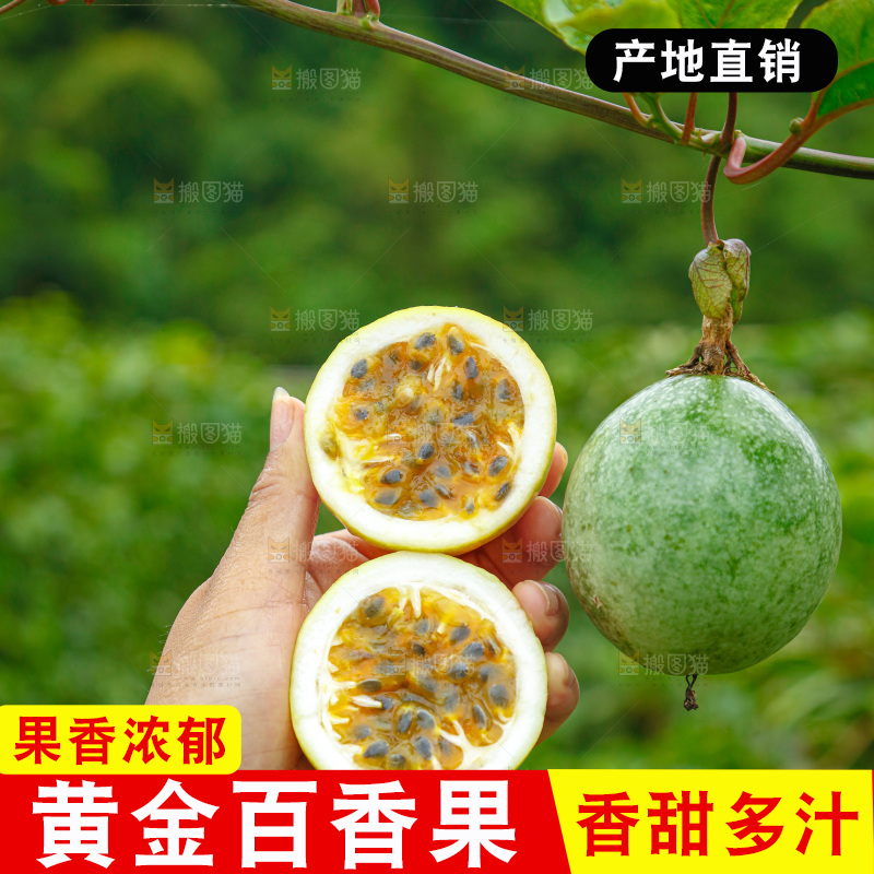 黄金百香果